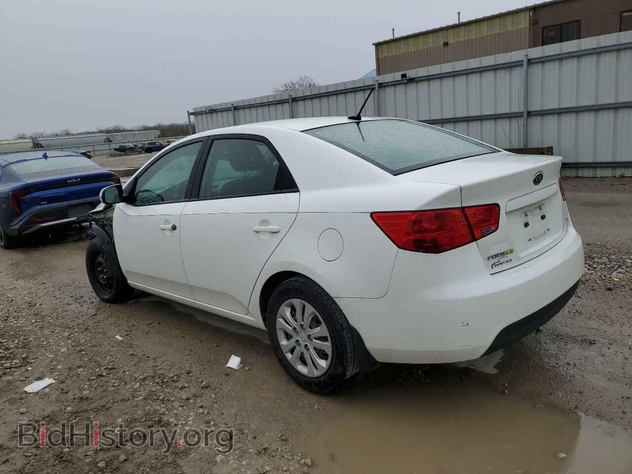 2013 KIA FORTE - VIN: KNAFU4A2XD5649428 - Фото 2