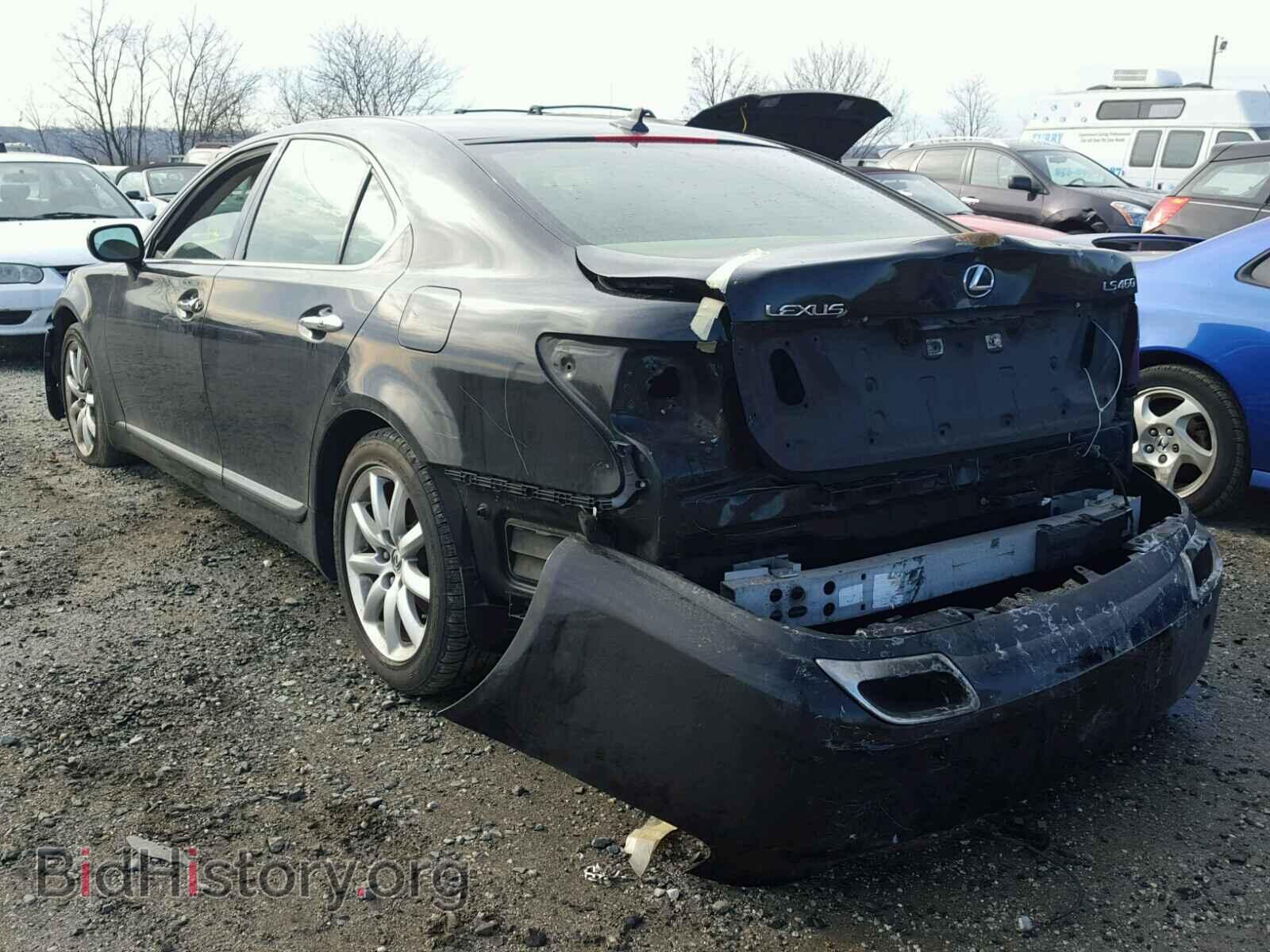 2008 LEXUS LS460 - VIN: JTHBL46F385058703 - Фото 3