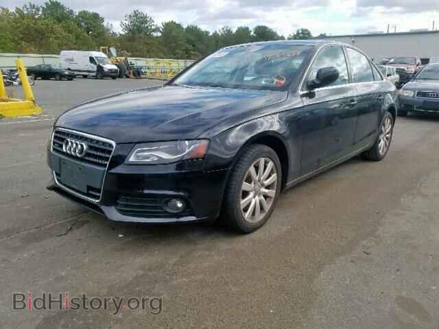 2010 AUDI A4 - VIN: WAUFFAFL1AN058555 - Фото 2