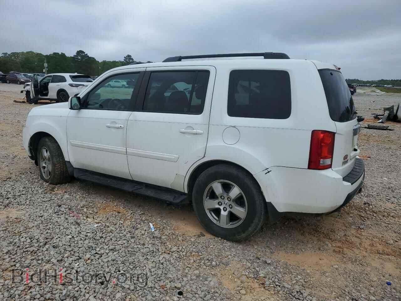 2009 HONDA PILOT - VIN: 5FNYF38619B013687 - Фото 2