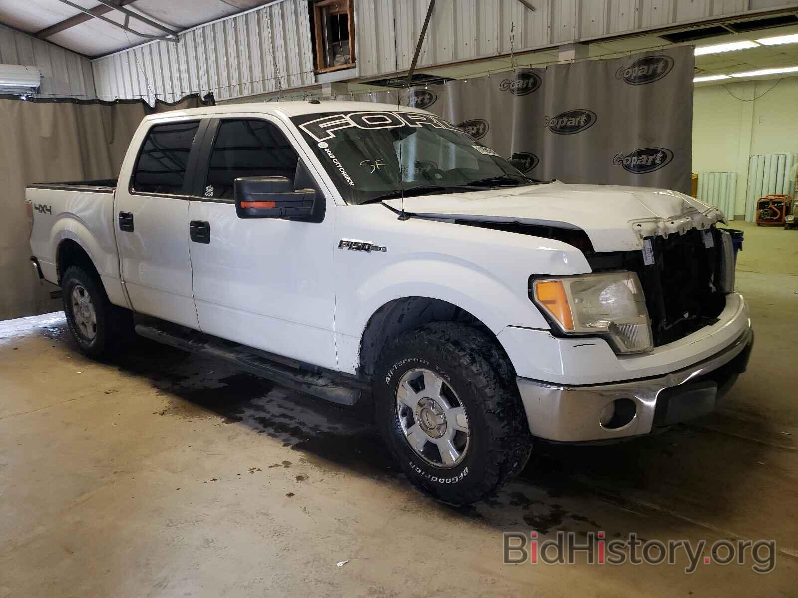 Photo 1FTEW1E84AFD16606 - FORD F-150 2010