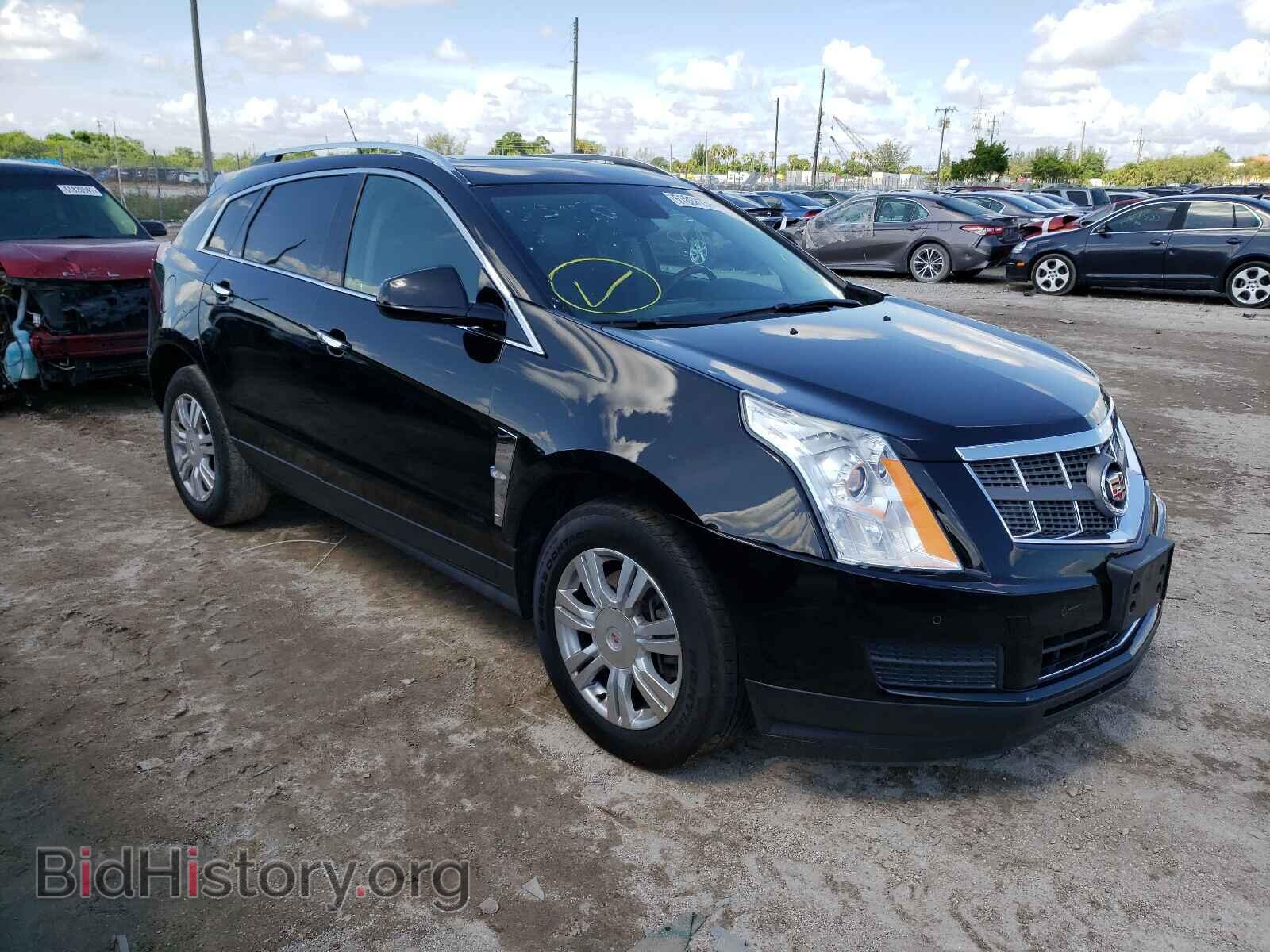 Photo 3GYFNAEY2BS555330 - CADILLAC SRX 2011