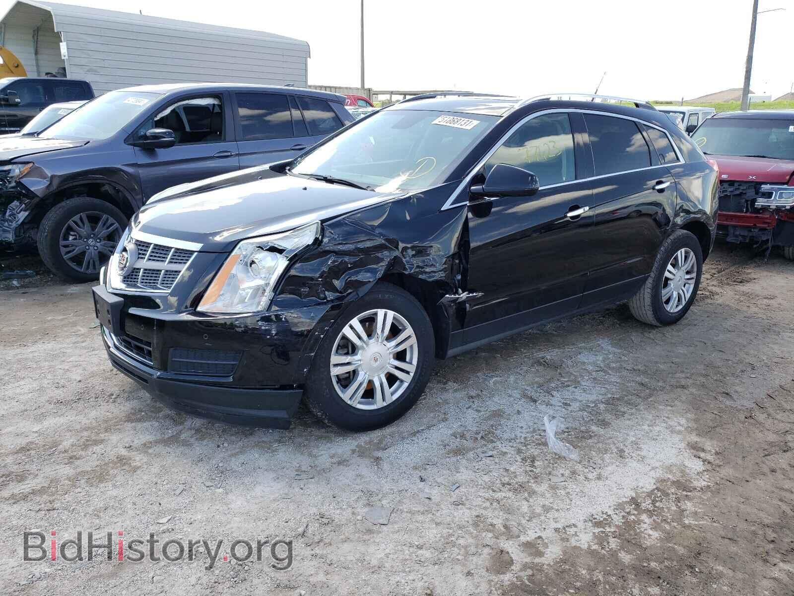 2011 CADILLAC SRX - VIN: 3GYFNAEY2BS555330 - Фото 2