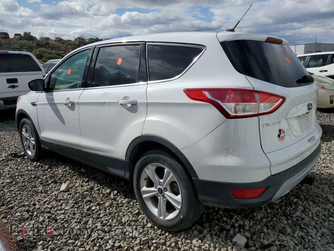 2014 FORD ESCAPE - VIN: 1FMCU0GX7EUB83672 - Фото 2