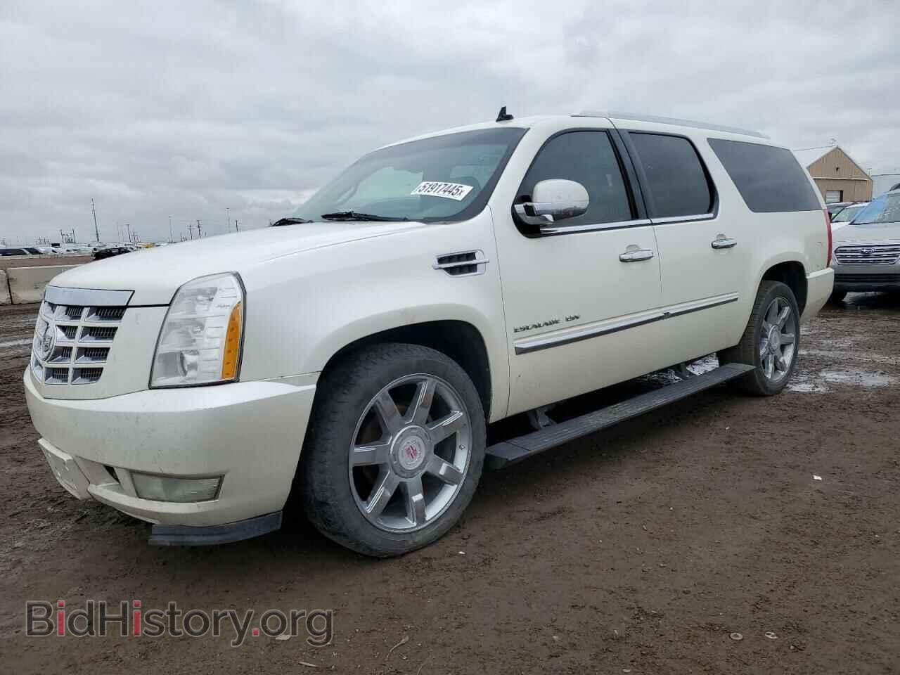Photo 1GYS4JEF6BR125500 - CADILLAC ESCALADE 2011