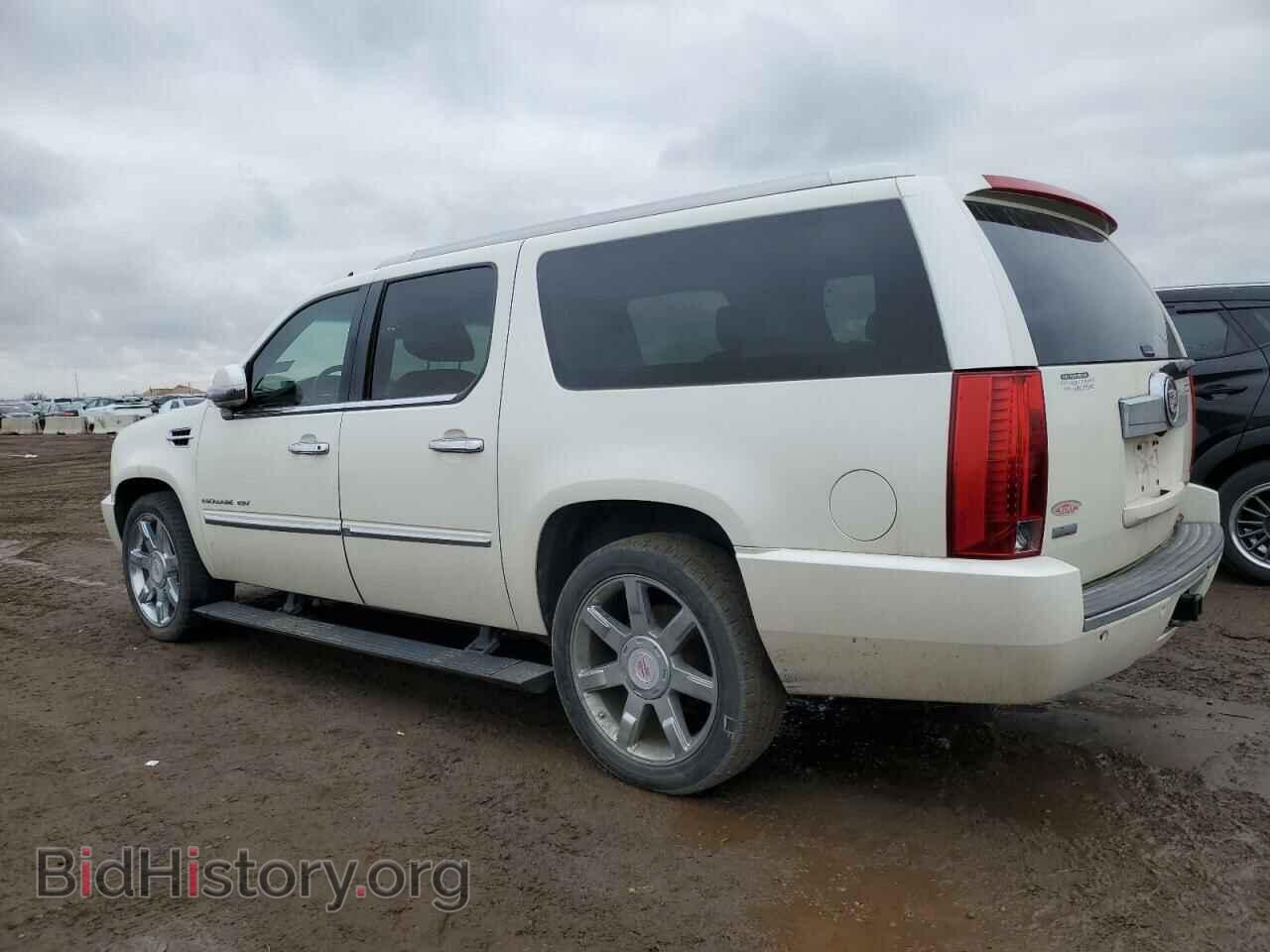 2011 CADILLAC ESCALADE - VIN: 1GYS4JEF6BR125500 - Фото 2