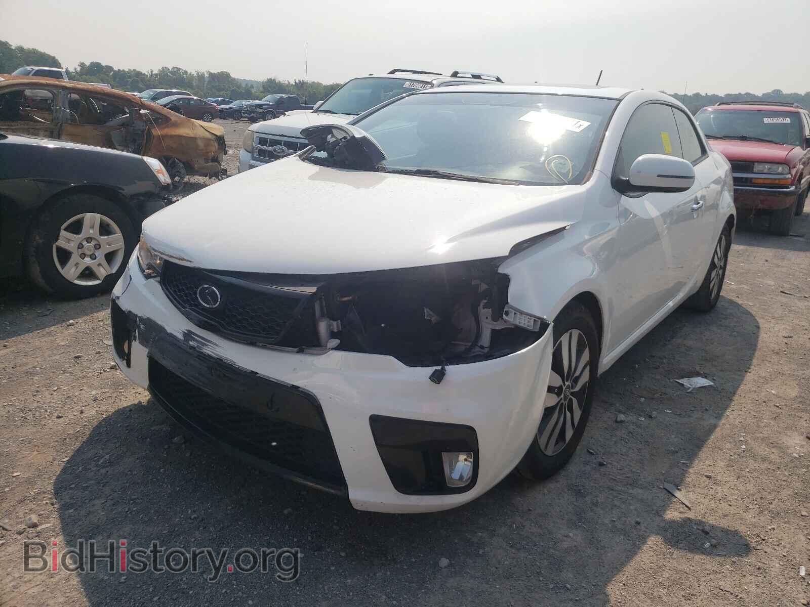 2013 KIA FORTE - VIN: KNAFU6A29D5664272 - Фото 2