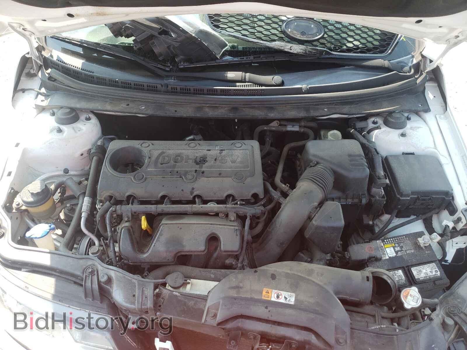 2013 KIA FORTE - VIN: KNAFU6A29D5664272 - Фото 7