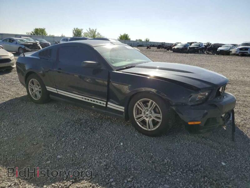 2011 Ford ALL MODELS (VIN 1ZVBP8AM7B5106534) — фото 4 из 12