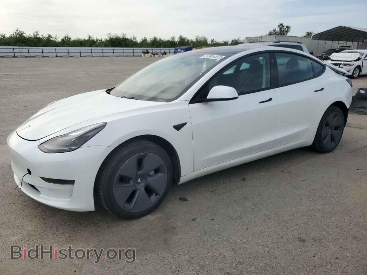 Photo 5YJ3E1EA2PF514806 - TESLA MODEL 3 2023