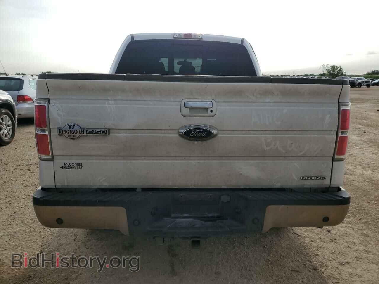 2013 FORD F-150 - VIN: 1FTFW1CF3DKF93393 - Фото 6