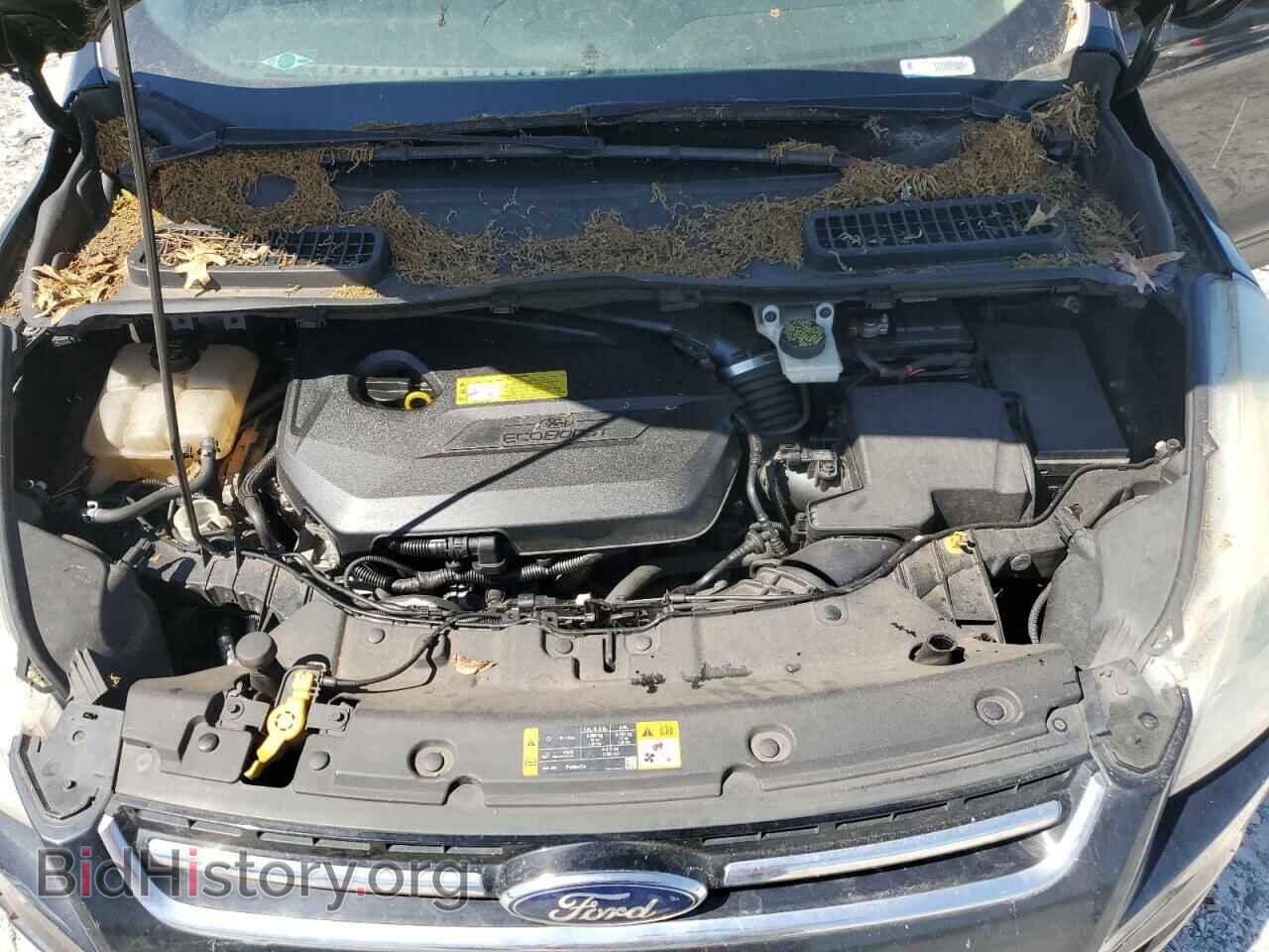 2013 FORD ESCAPE - VIN: 1FMCU0HX7DUC76009 - Photo 12