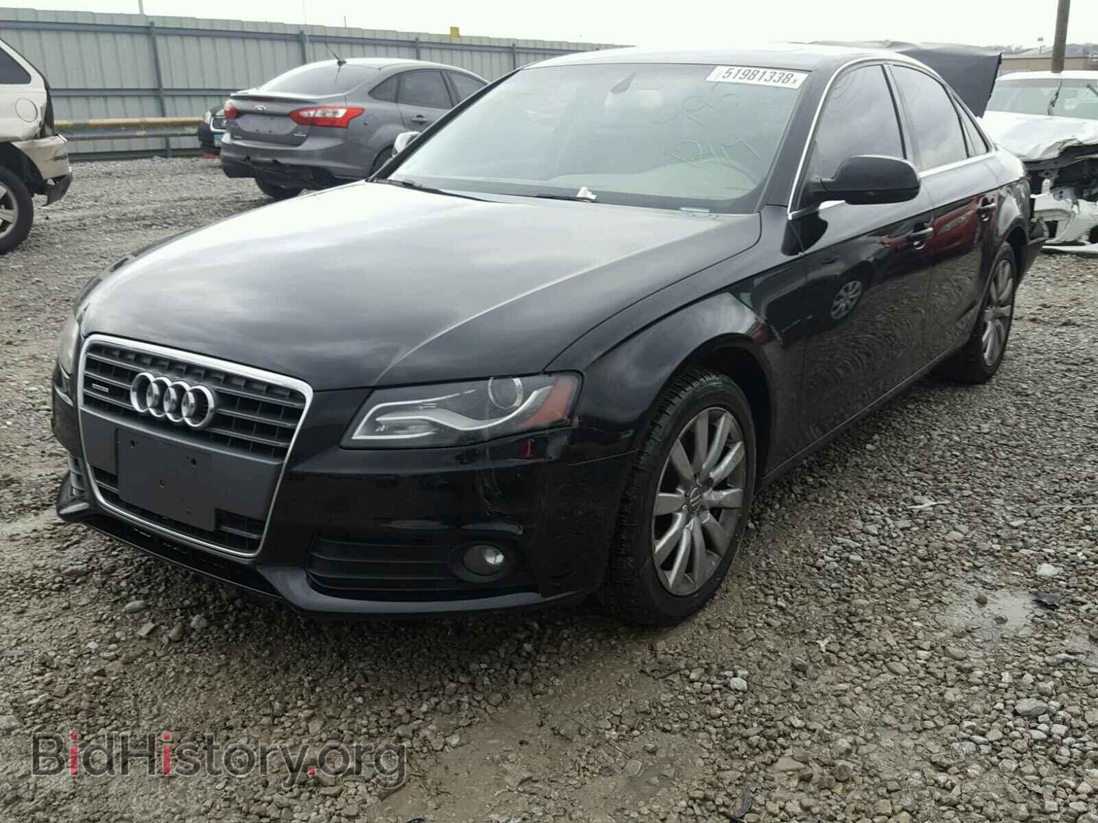 2010 AUDI A4 - VIN: WAUFFAFL3AA049959 - Фото 2