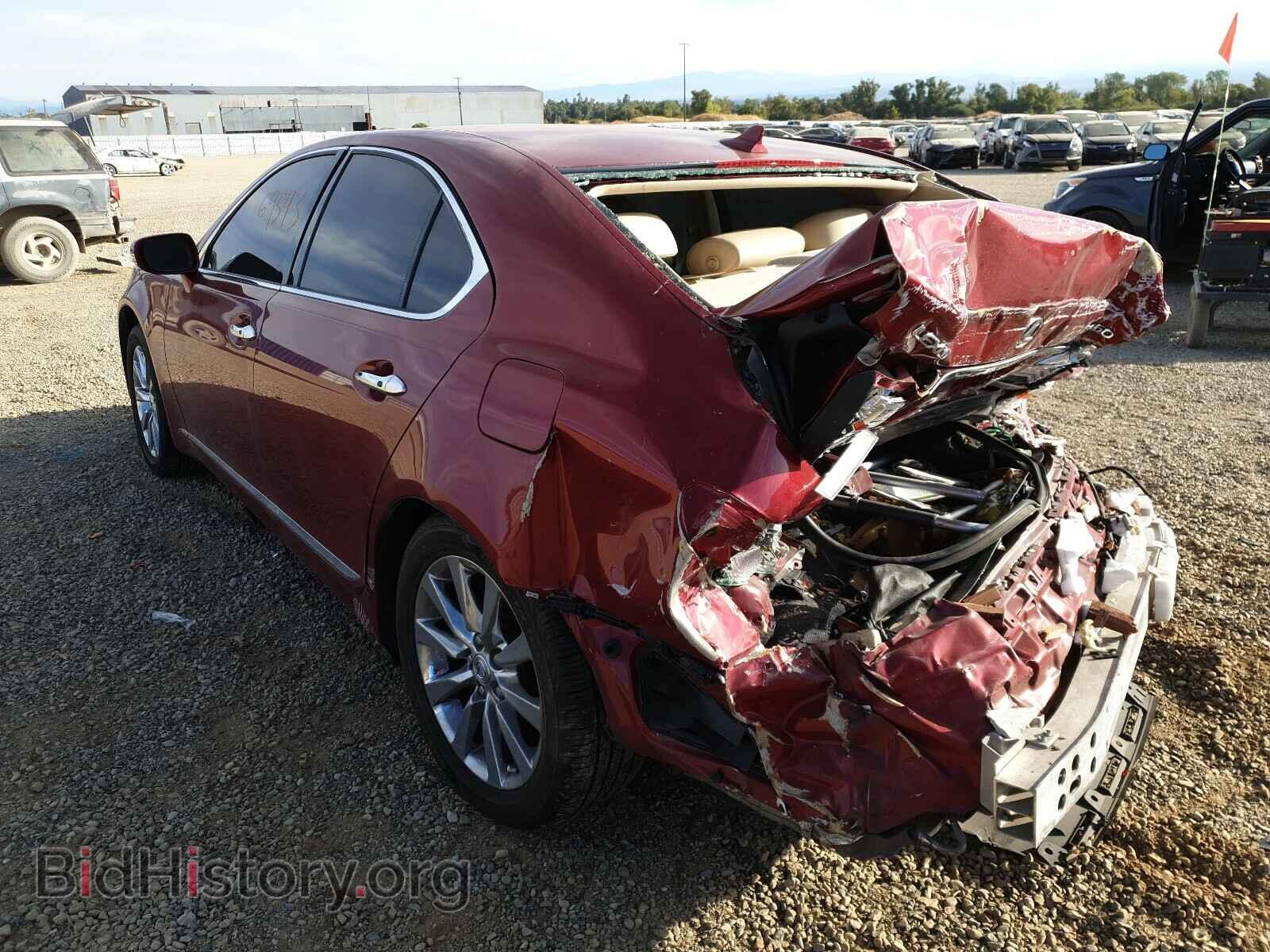 2010 LEXUS LS460 - VIN: JTHBL5EFXA5094854 - Фото 3