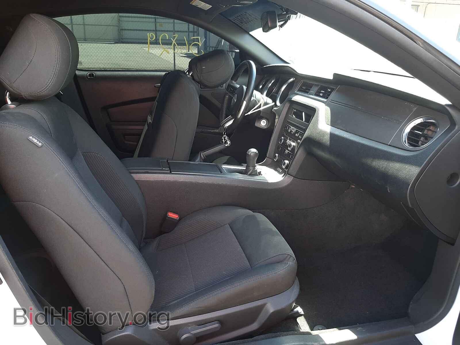 2014 FORD MUSTANG - VIN: 1ZVBP8CF4E5259536 - Фото 5
