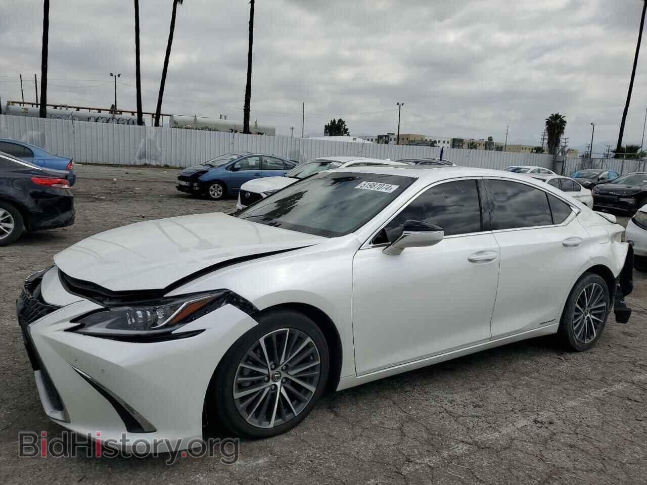 Photo 58ADA1C19NU013570 - LEXUS ES300 2022