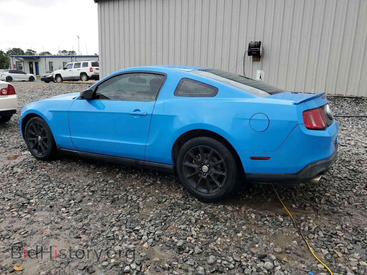2011 FORD ALL Models - VIN: 1ZVBP8AM5B5121663 - Фото 2