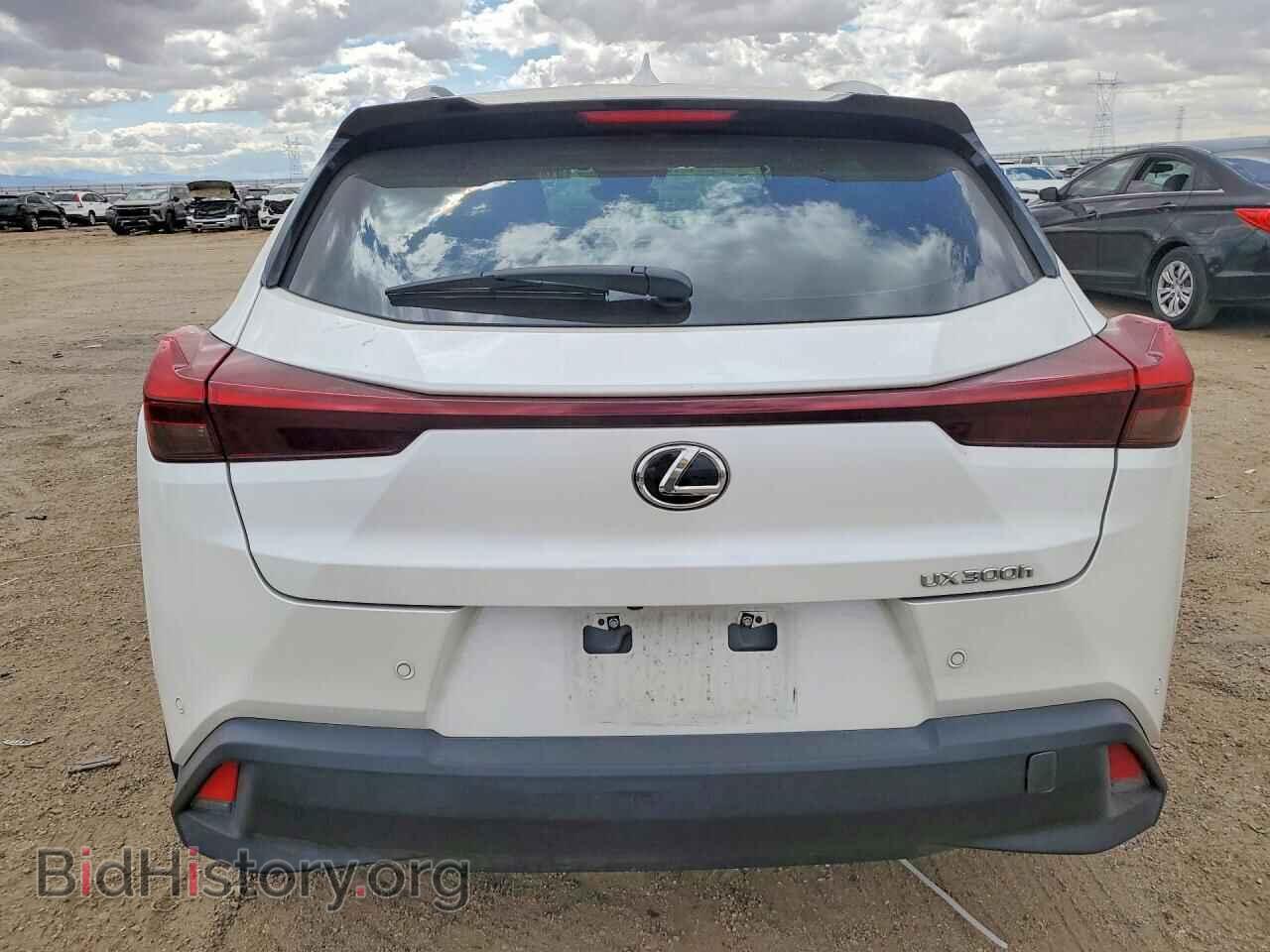 2025 LEXUS UNKNOWN - VIN: JTHYBJAH0S2018916 - Photo 6