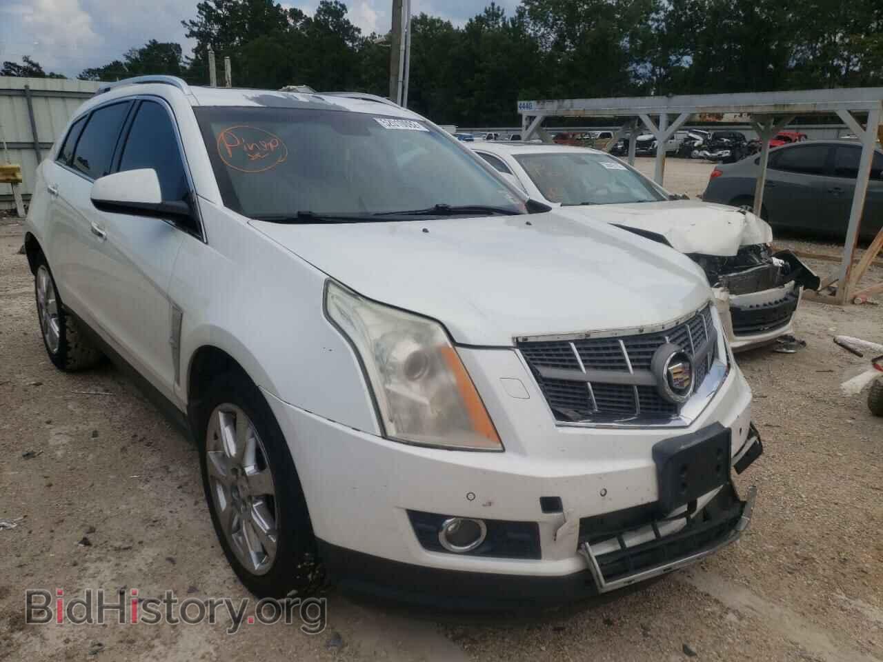Фотография 3GYFNCE36CS604899 - CADILLAC SRX 2012