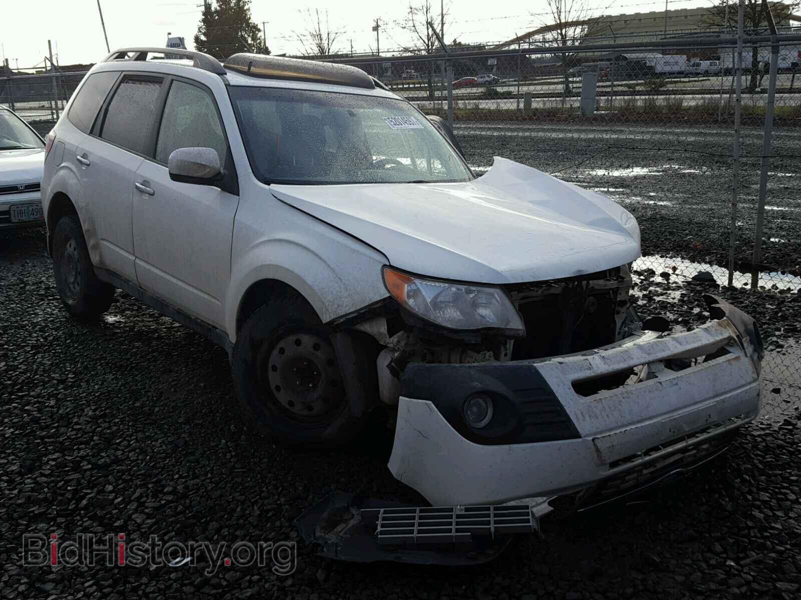 Photo JF2SH6DC2AH735320 - SUBARU FORESTER 2010