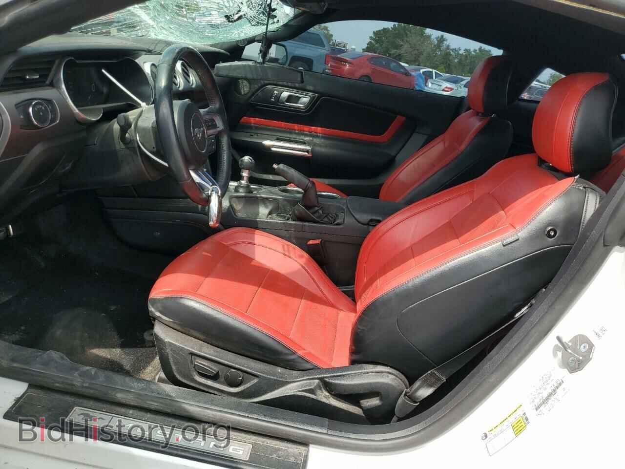 2020 FORD ALL Models - VIN: 1FA6P8TH1L5184805 - Фото 7