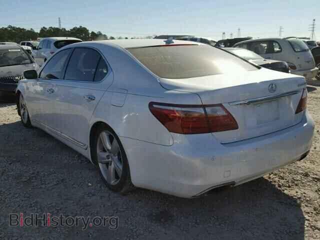 2011 LEXUS LS460 - VIN: JTHGL5EF1B5043850 - Фото 3