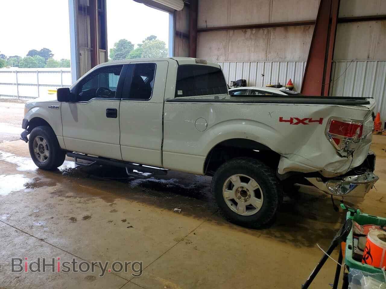 2010 FORD F150 - VIN: 1FTFX1EV3AKE21166 - Фото 2