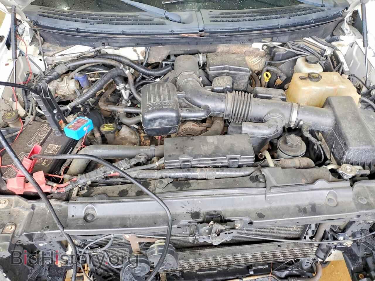 2010 FORD F150 - VIN: 1FTFX1EV3AKE21166 - Фото 11