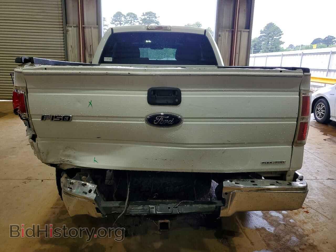 2010 FORD F150 - VIN: 1FTFX1EV3AKE21166 - Фото 6