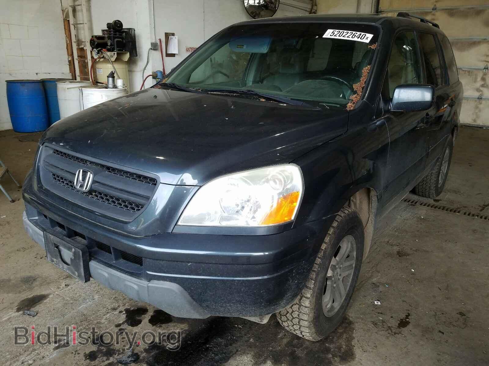 2005 HONDA PILOT - VIN: 2HKYF18655H553382 - Фото 2