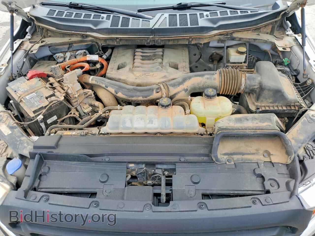 2021 FORD F150 - VIN: 1FTFW1CD2MFB31222 - Фото 11