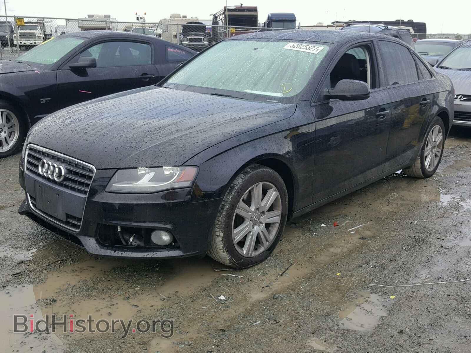 2011 AUDI A4 - VIN: WAUAFAFLXBN036940 - Фото 2