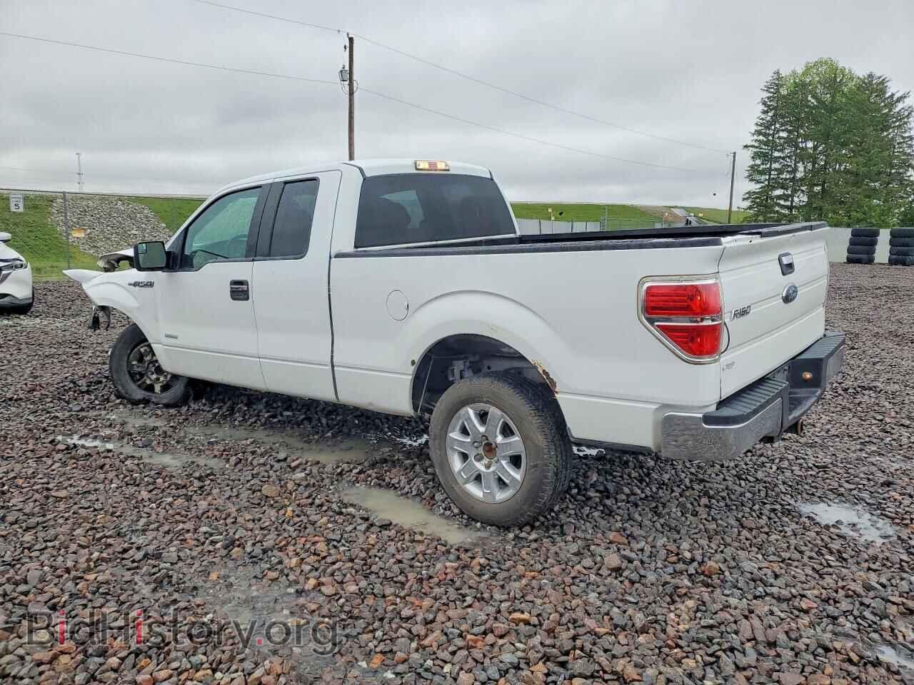 2013 FORD F150 - VIN: 1FTFX1CT5DFD02341 - Photo 2