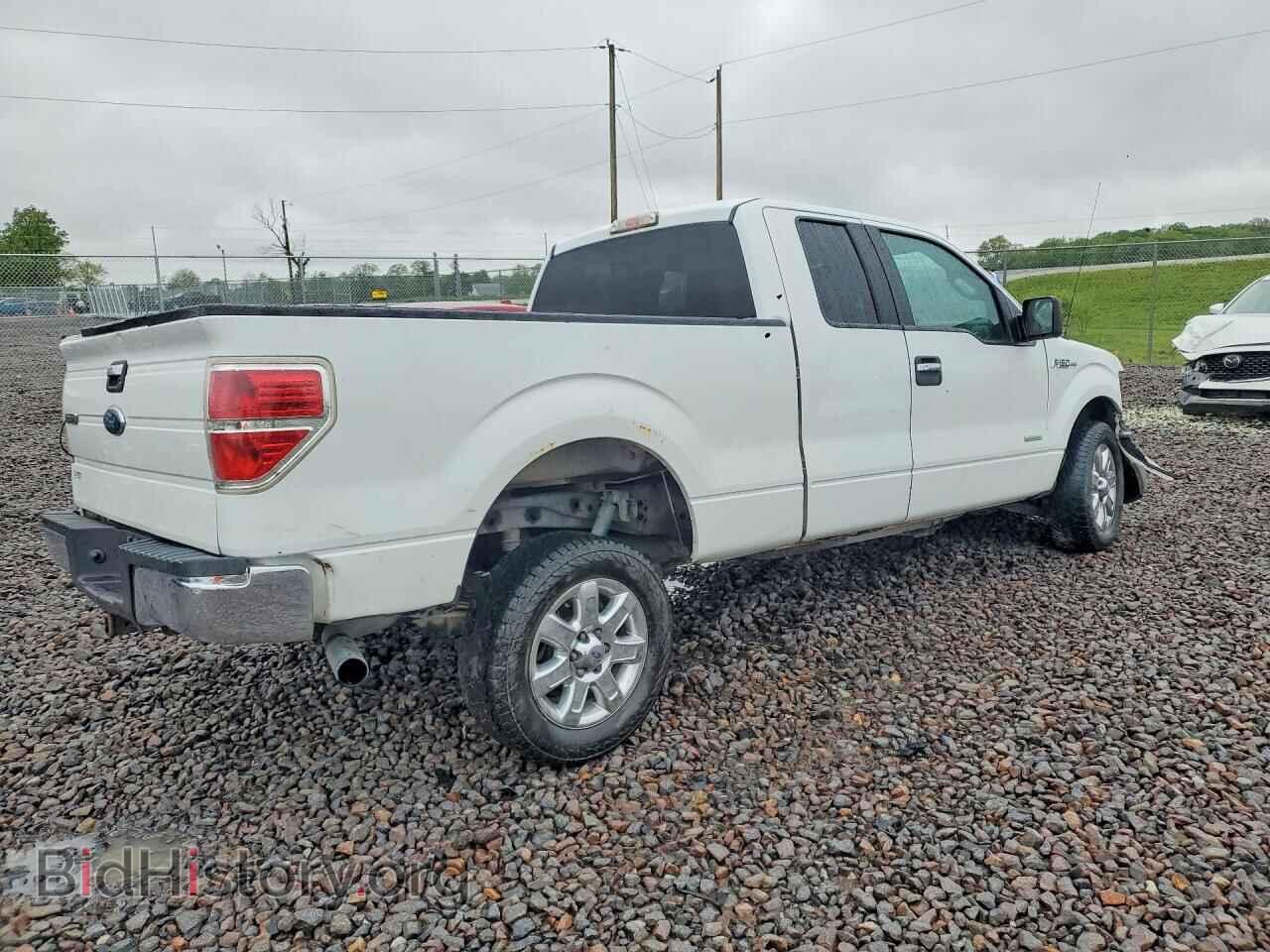 2013 FORD F150 - VIN: 1FTFX1CT5DFD02341 - Photo 3