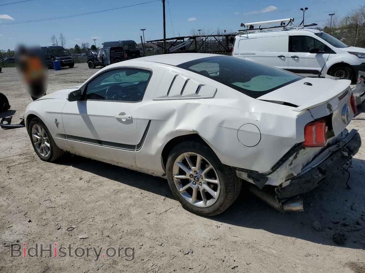 2010 FORD ALL Models - VIN: 1ZVBP8AN8A5133037 - Фото 2