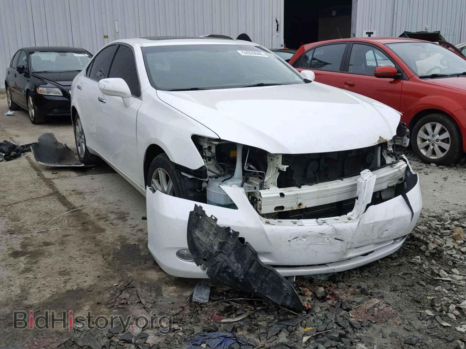 Photo JTHBJ46G282182753 - LEXUS ES350 2008