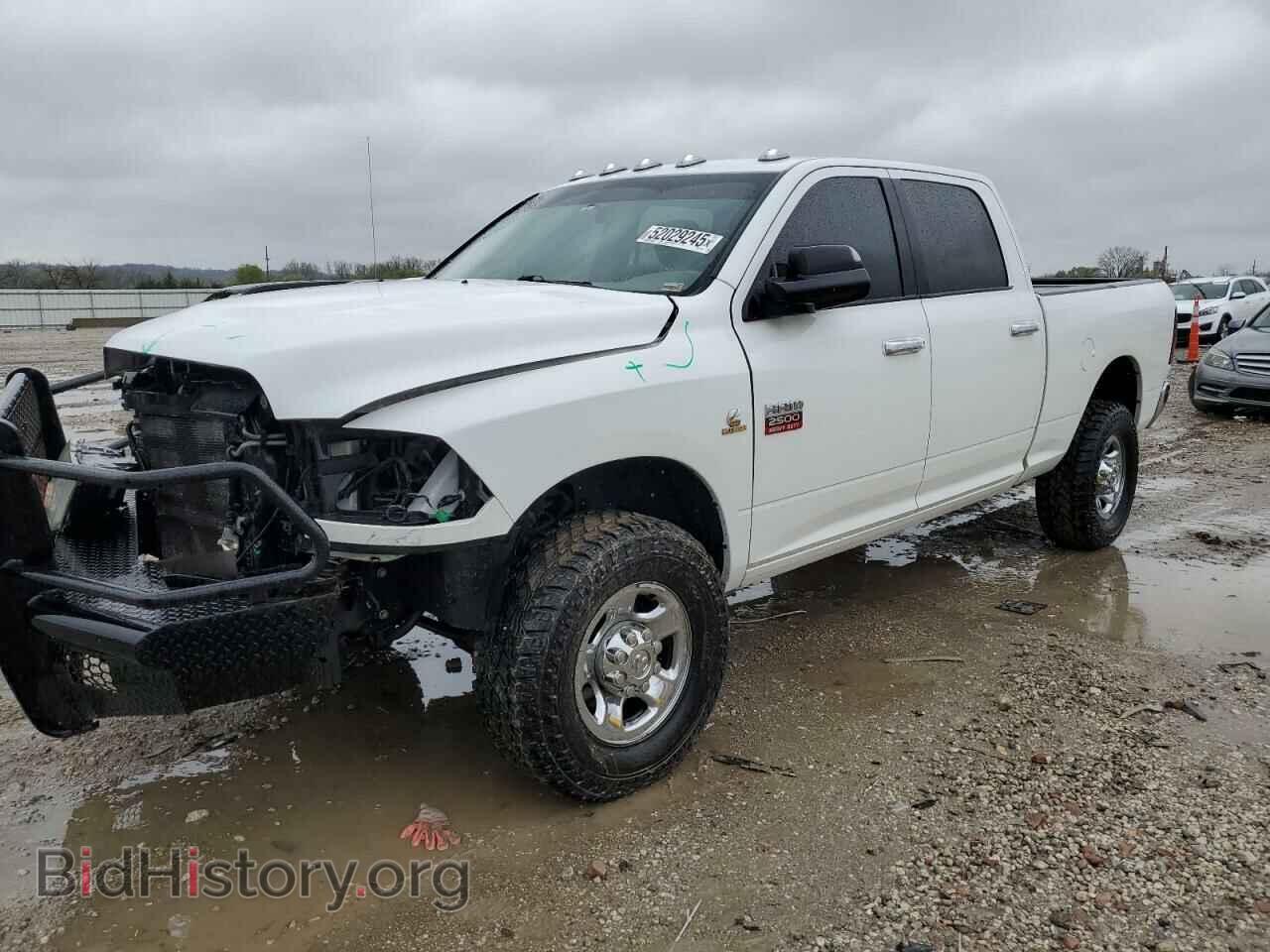 Photo 3D7UT2CL4BG523813 - DODGE All Models 2011
