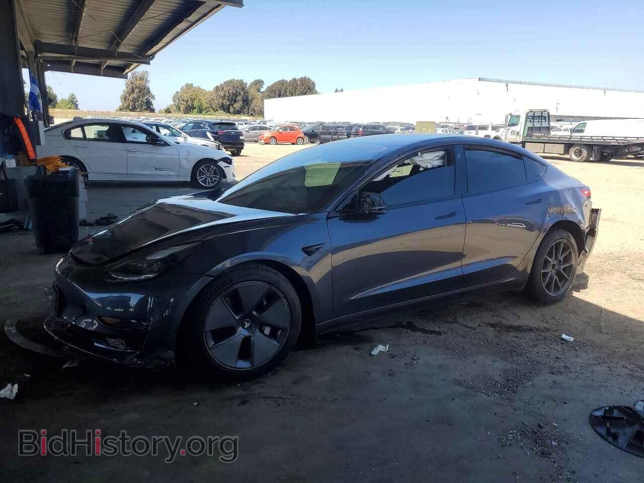 Photo 5YJ3E1EA9PF668526 - TESLA MODEL 3 2023