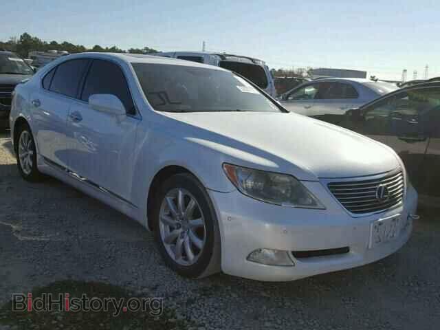 Фотография JTHBL46F685076452 - LEXUS LS460 2008