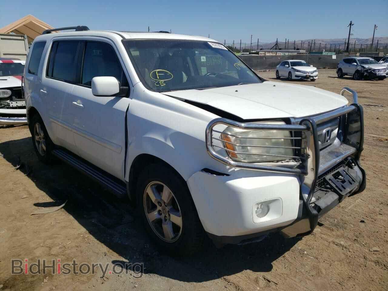 Фотография 5FNYF3H7XBB033936 - HONDA PILOT 2011