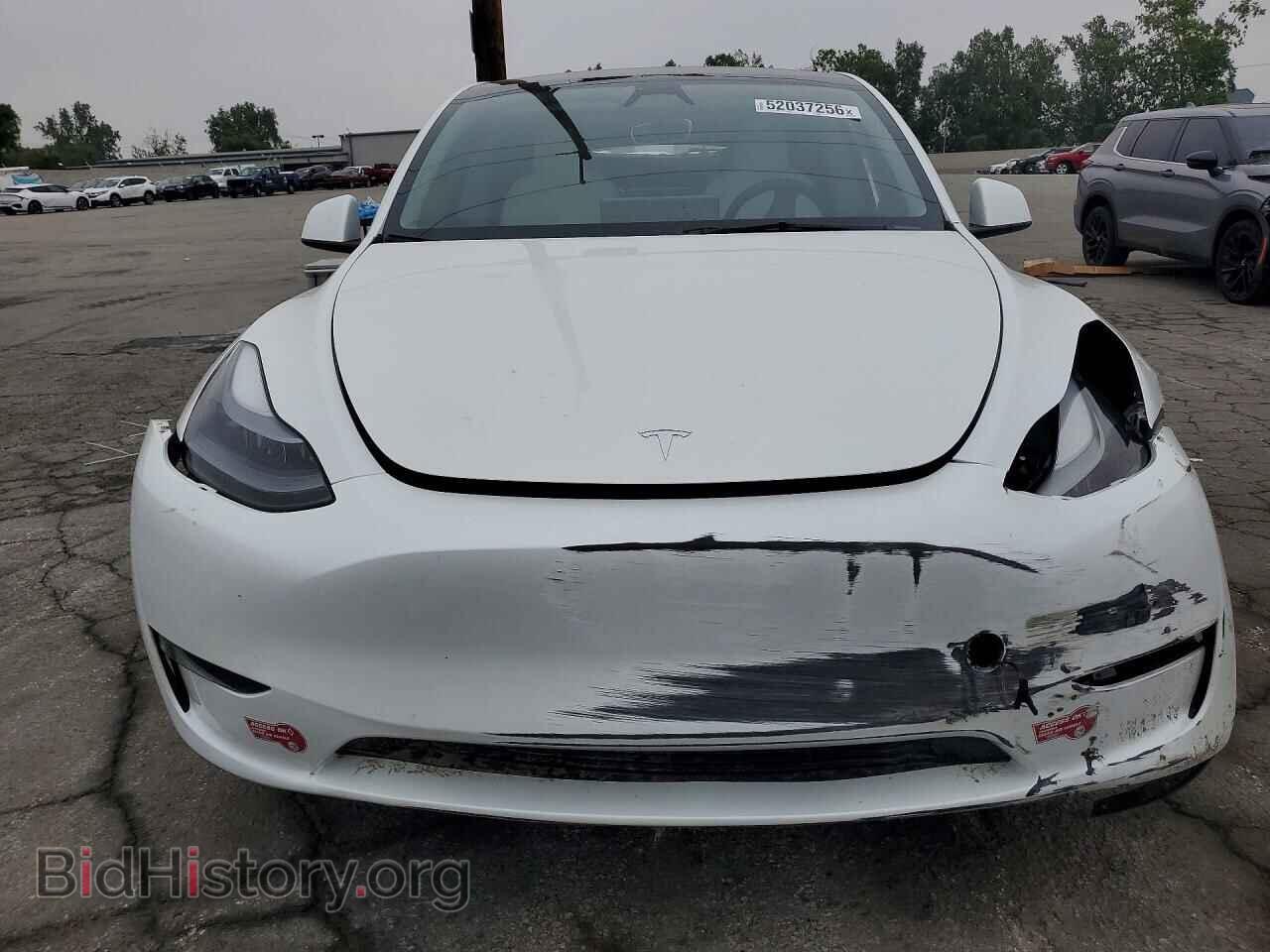 2024 TESLA MODEL Y - VIN: 7SAYGDED6RF095408 - Photo 5