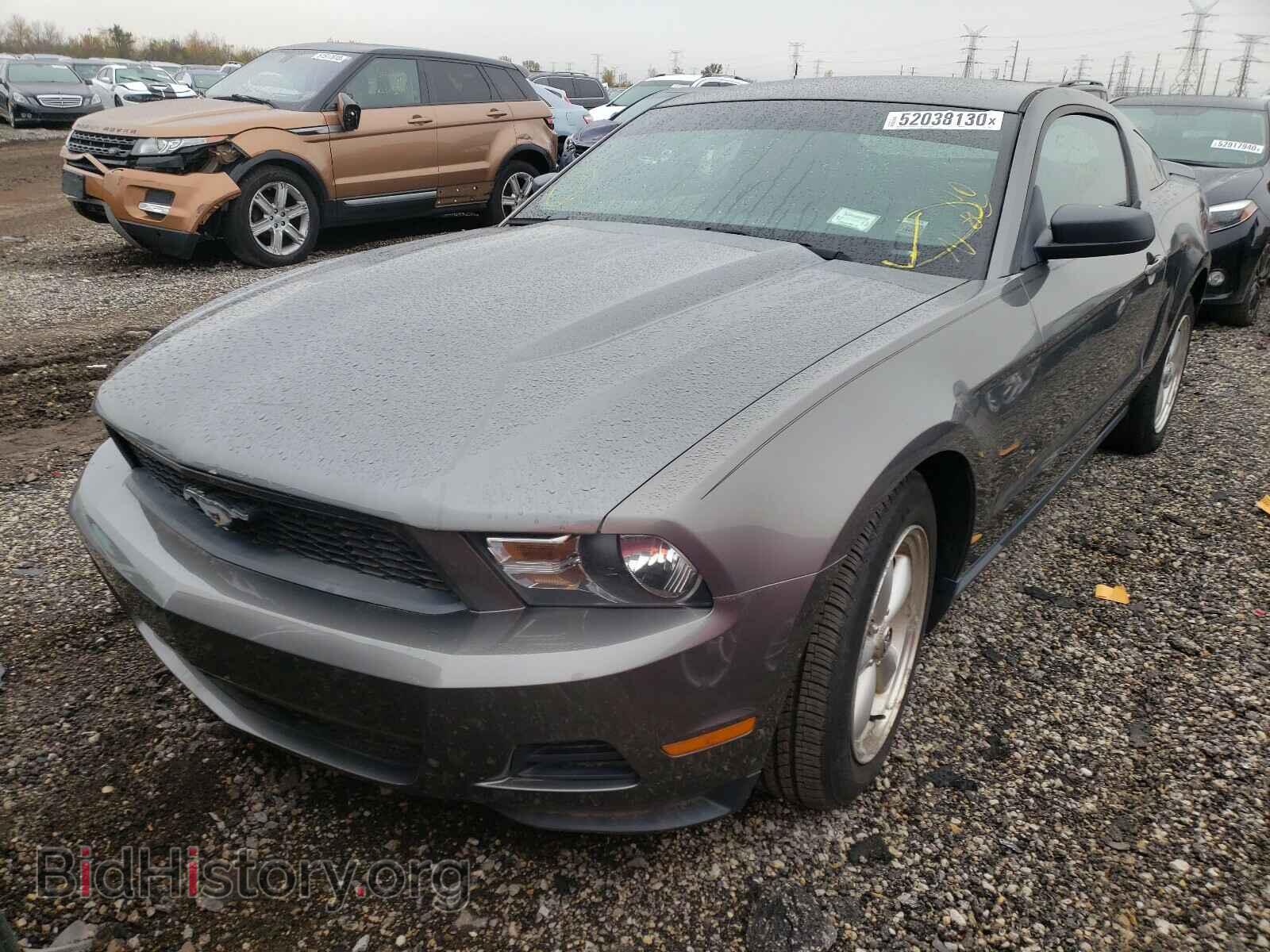 2010 FORD MUSTANG - VIN: 1ZVBP8AN5A5176475 - Фото 2