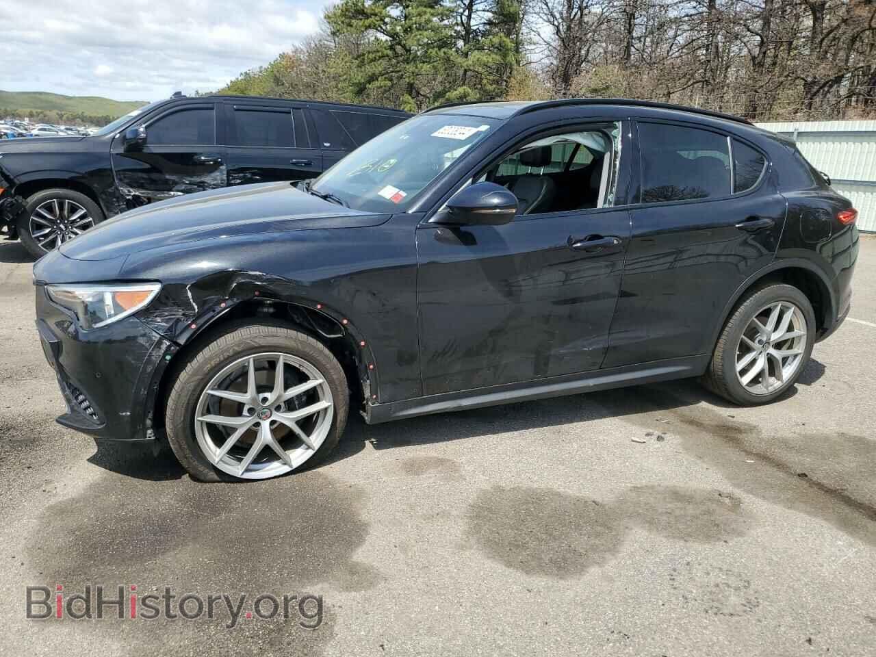 Фотография ZASPAKAN5K7C43337 - ALFA ROMEO STELVIO 2019