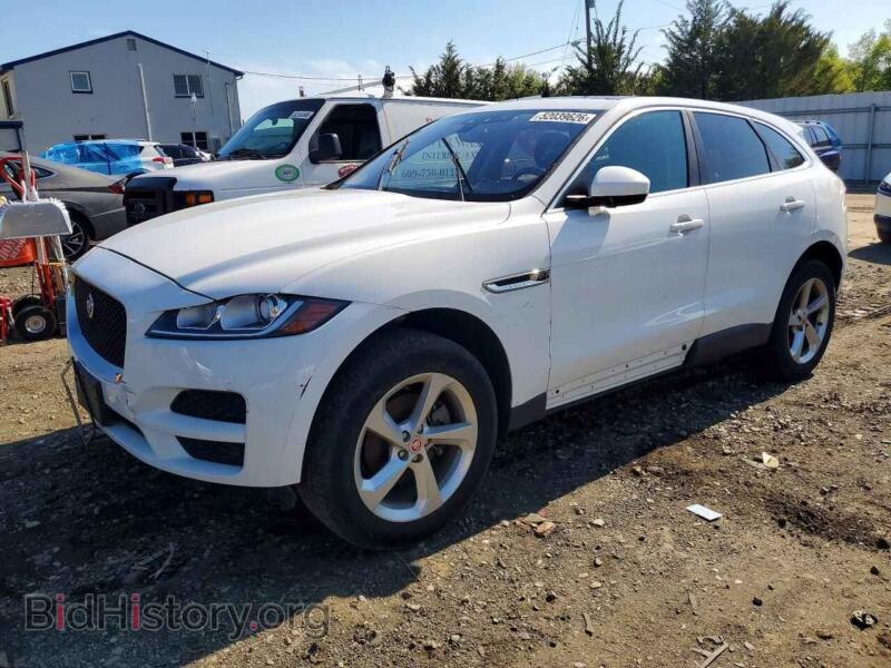 2019 Jaguar F-PACE (VIN SADCS2FX3KA602139) — photo 1 of 13, Copart, damage: minor dents/scratches
