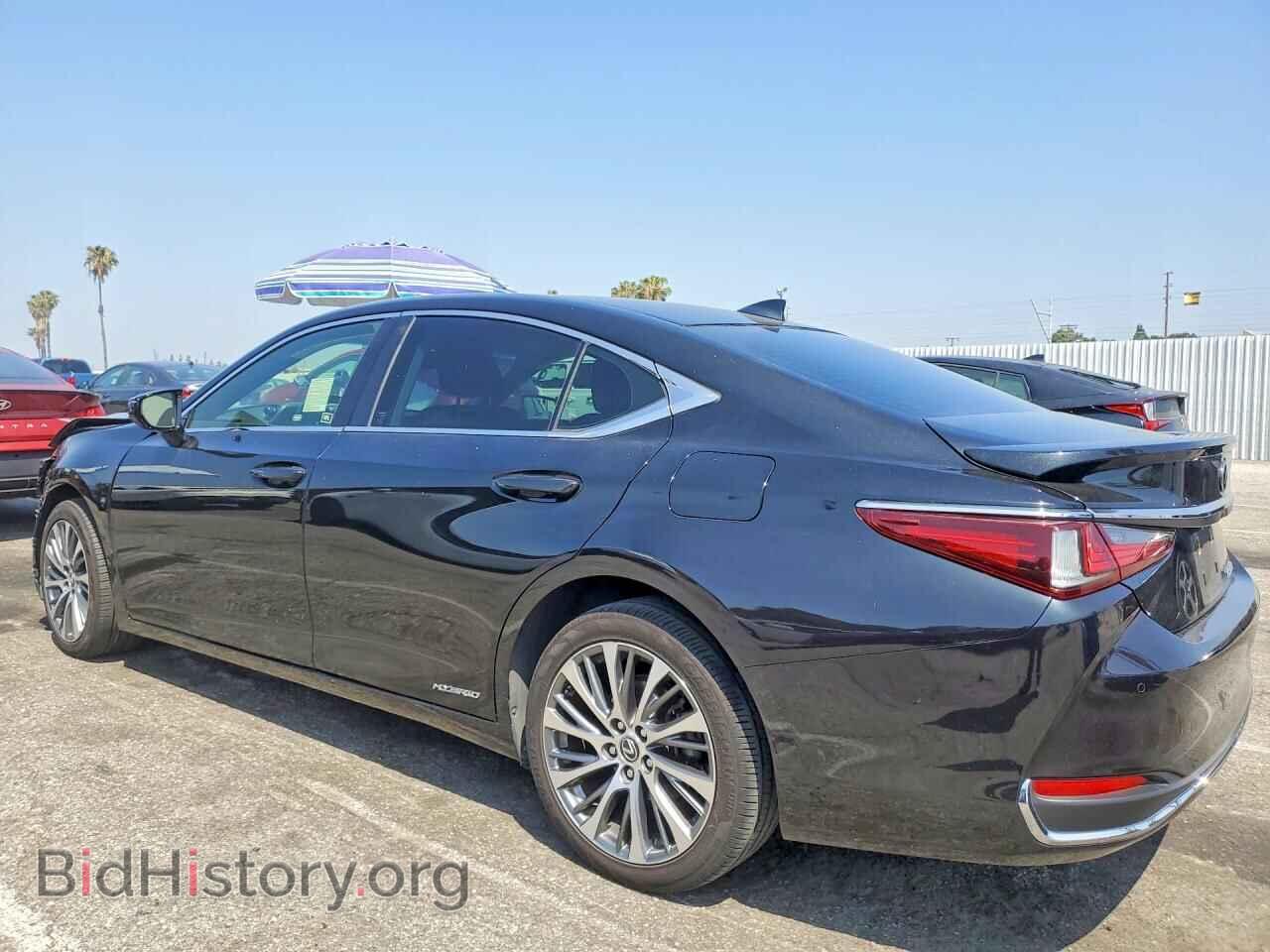 2019 LEXUS ES300 - VIN: JTHB21B16K2024209 - Фото 2