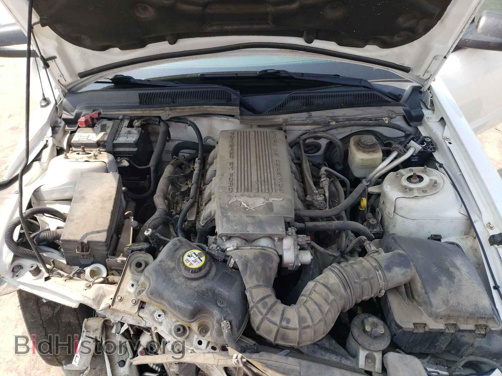 2008 FORD MUSTANG - VIN: 1ZVHT82H285116520 - Фото 7