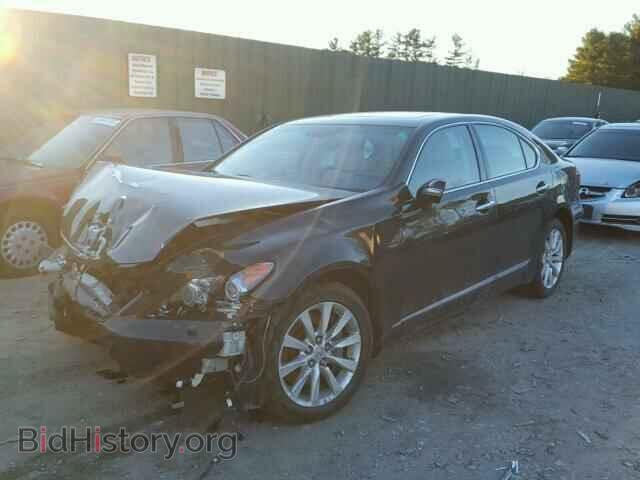 2011 LEXUS LS460 - VIN: JTHCL5EF0B5010952 - Photo 2
