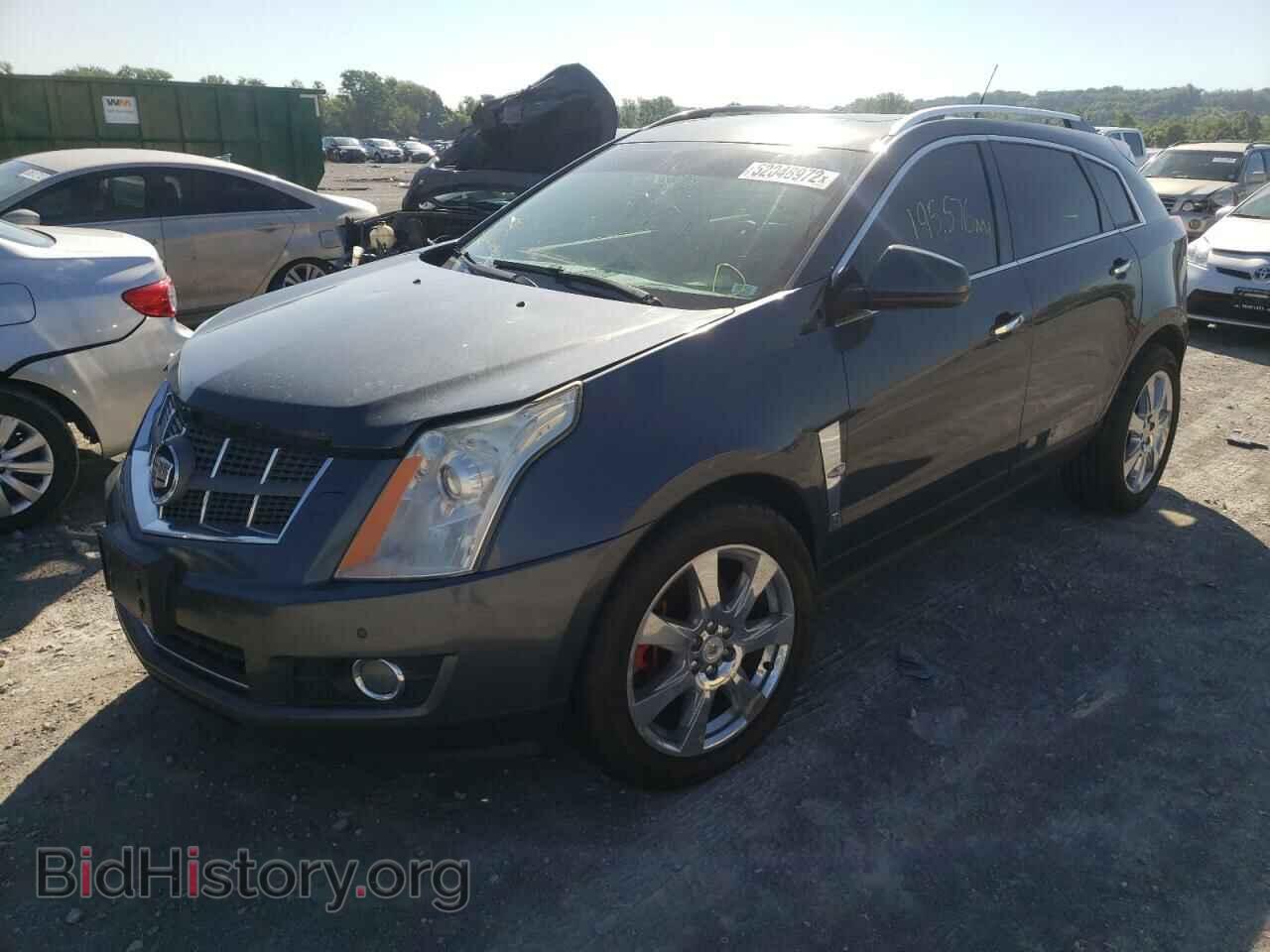 2011 CADILLAC SRX - VIN: 3GYFNFEY4BS511407 - Photo 2