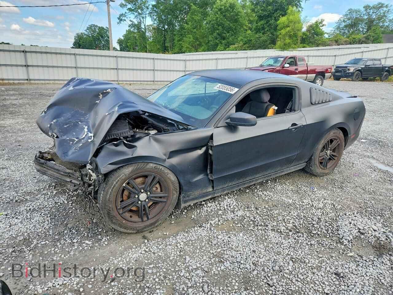 Фотография 1ZVBP8AM2D5261009 - FORD MUSTANG 2013