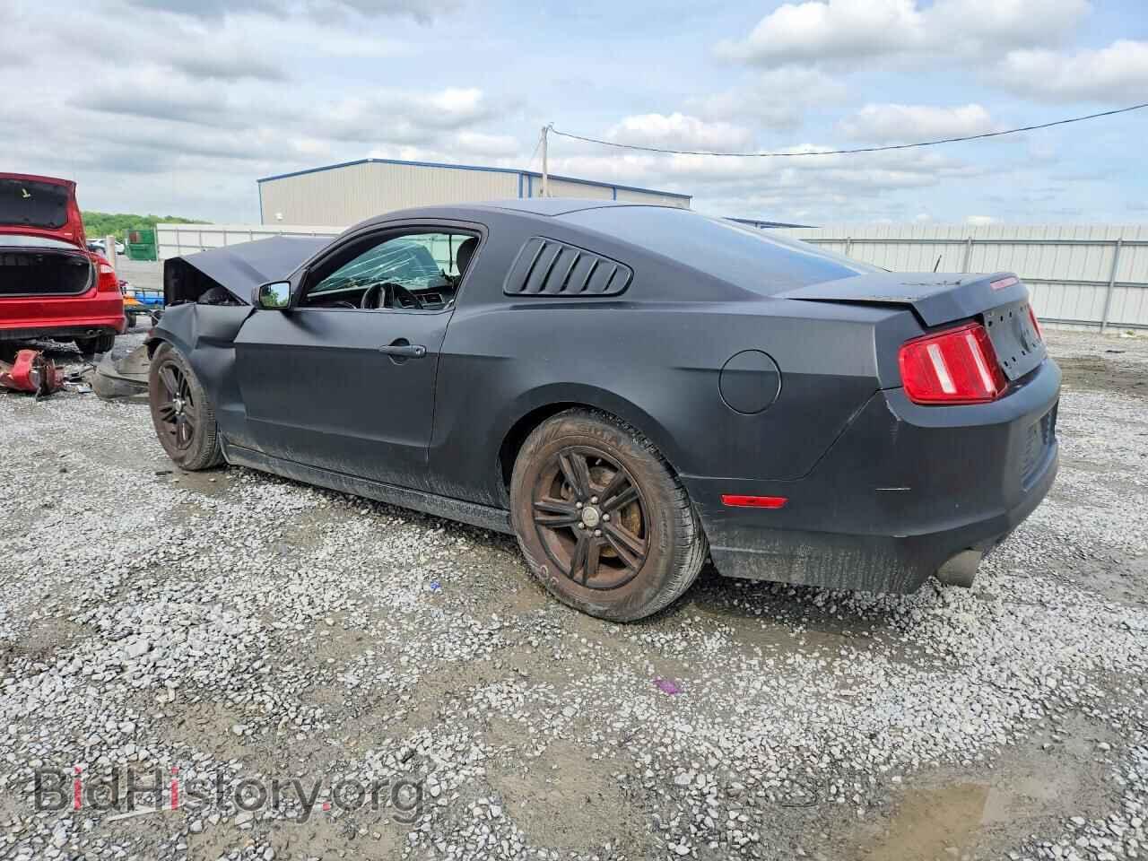 2013 FORD MUSTANG - VIN: 1ZVBP8AM2D5261009 - Фото 2